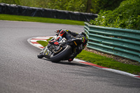 cadwell-no-limits-trackday;cadwell-park;cadwell-park-photographs;cadwell-trackday-photographs;enduro-digital-images;event-digital-images;eventdigitalimages;no-limits-trackdays;peter-wileman-photography;racing-digital-images;trackday-digital-images;trackday-photos